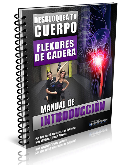 manualintro